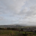 DSC_8459.jpg